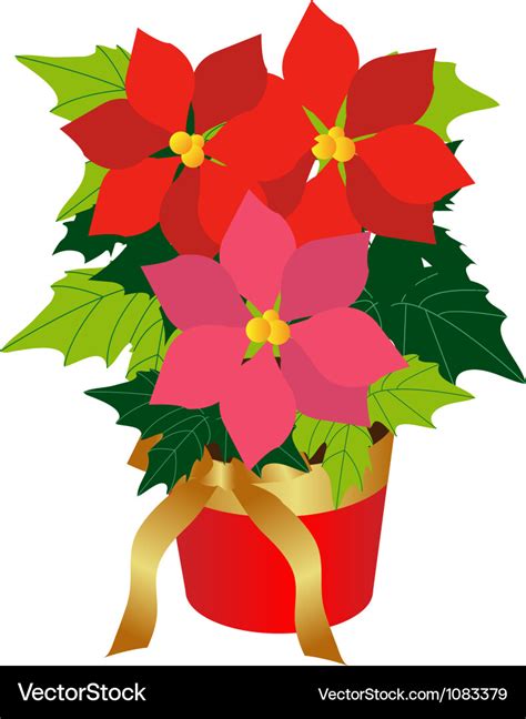 Poinsettia Royalty Free Vector Image - VectorStock