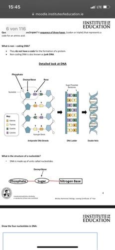 Biology Dna And Rna Flashcards Quizlet