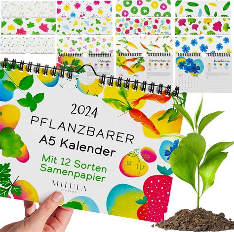 Einpflanzbarer Kalender Wandkalender 2024 12 Saisonale EU Samen Zum