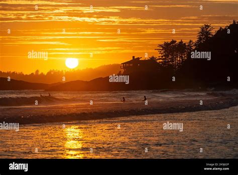 Sunset By Chesterman Beach With Surfers In The Pacific Ocean Tofino