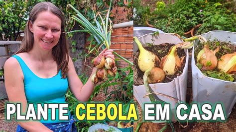 Como Plantar Cebola Em Casa Um Jeito Simples De Plantar YouTube