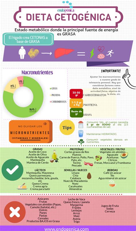 Entendiendo La Dieta Cetogénica Información Básica Para Empezar Con La