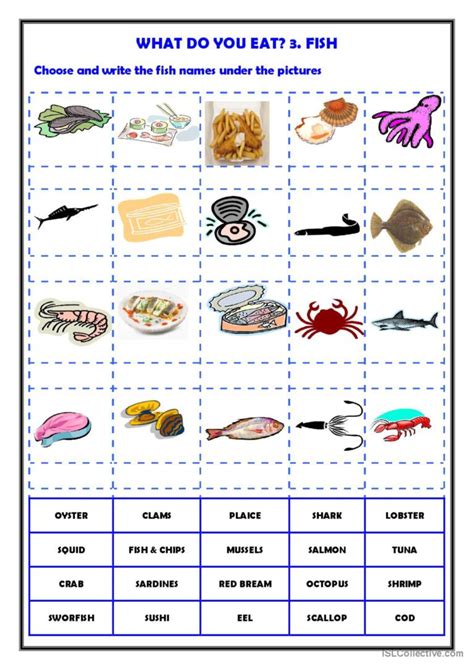 What Do You Eat Fish English Esl Worksheets Pdf Doc