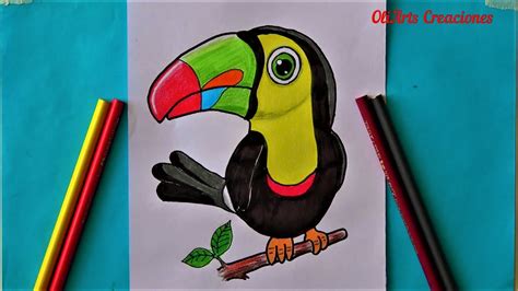 Como dibujar un TUCAN muy fácil aves YouTube