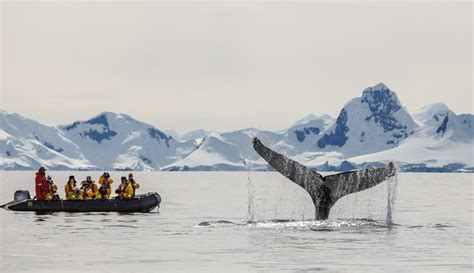 Crossing The Drake Passage Wildfoot Travel Journal