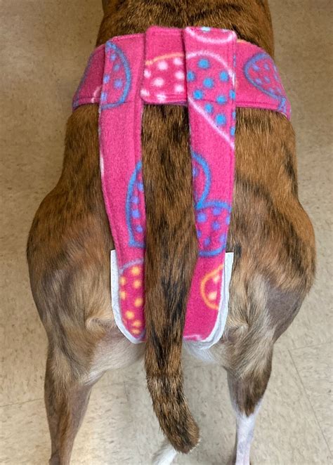 P String Diaper For Female Greyhounds Etsy