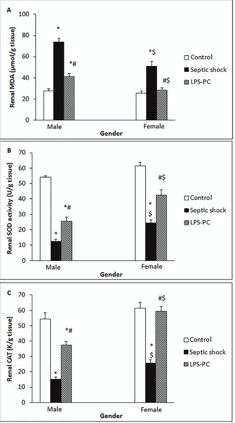 The Figure Demonstrates The Effect Of Sex Differences On Renal