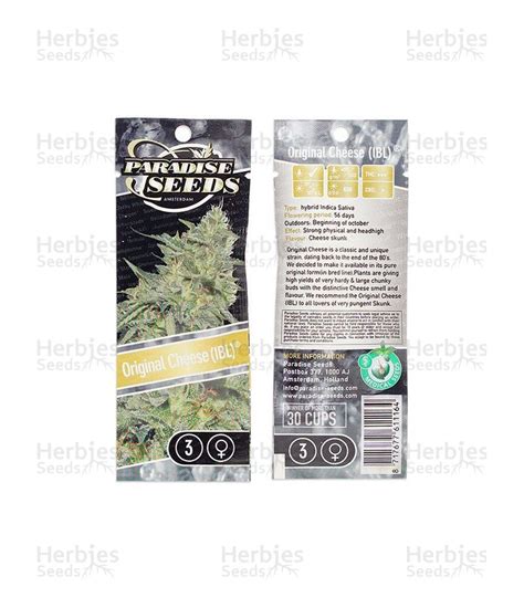 Original Cheese Ibl Feminized Seeds For Sale Herbies Seeds