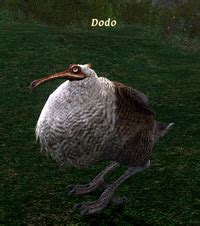 Category:Genus:Dodo - Gamer Escape's Final Fantasy XIV (FFXIV, FF14) wiki