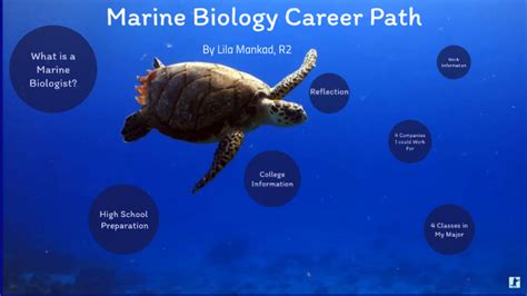 marine biology career path  lila   prezi