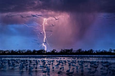 19 Electrifying Photos of Epic Storms