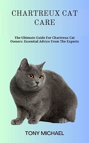 CHARTREUX CAT CARE: The Ultimate Guide For Chartreux Cat Owners ...