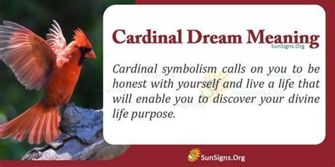 Dreaming Of A Cardinal - Meaning, Interpretation and Symbolism ...