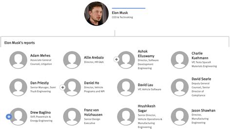 Org Chart Hierachy Org Chart Tesla Chart Sexiz Pix