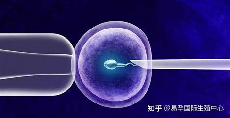 做试管一般多长时间？——易孕国际生殖中心 知乎