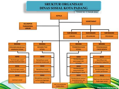 Struktur Organisasi Dinas Sosial Kota Padang