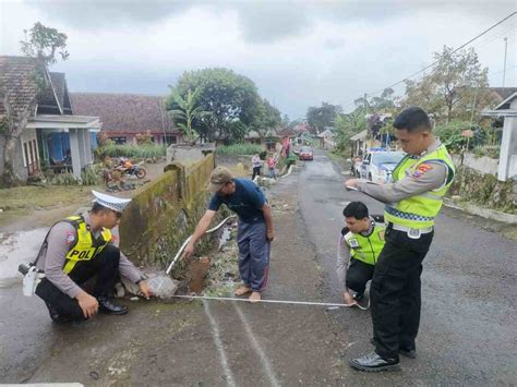 Ini Kronologi Kecelakaan Di Purwodadi Yang Tewaskan Pasutri Dan Balita