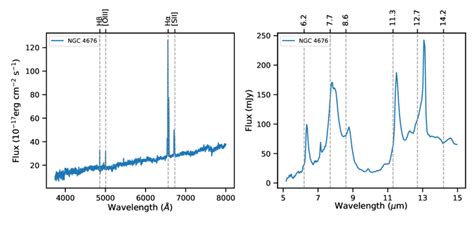 Left Panel The Observed Optical Spectrum For The Nuclear Region Of Ngc Download Scientific