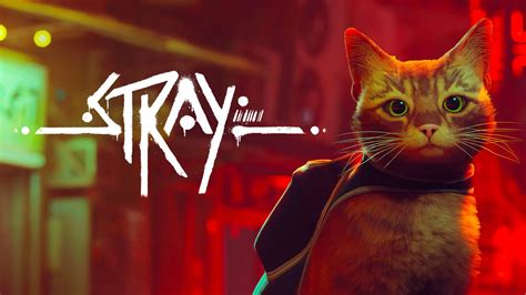 Stray Pc Steam Game Fanatical