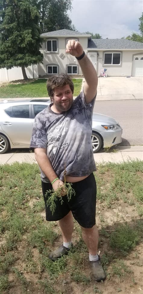 Pulled a weed and the ENTIRE root pulled out : r/AbsoluteUnits
