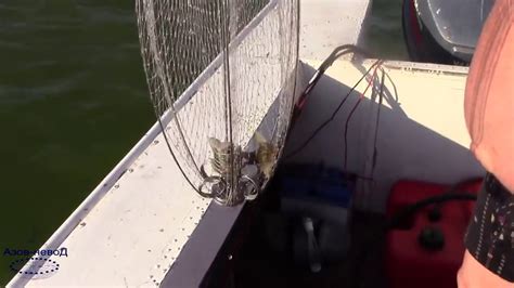 Рыболовная снасть Зонтик. Принцип действия рыболовной снасти Зонтик ...