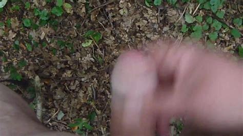 Wichsen Im Wald Gay Man Porn XHamster