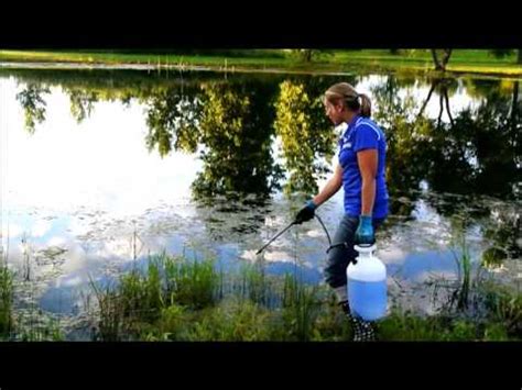 Algae Prevention - Pond Pro USA