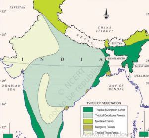 Tropical thorn forest and scrubs in India Upsc