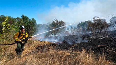 Here Are Definitions Of The Brush Fire Evacuation Levels Tacoma