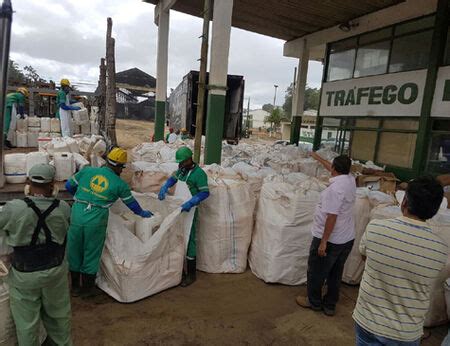 Recolhidas Toneladas De Embalagens De Agrot Xicos Em Timba Ba