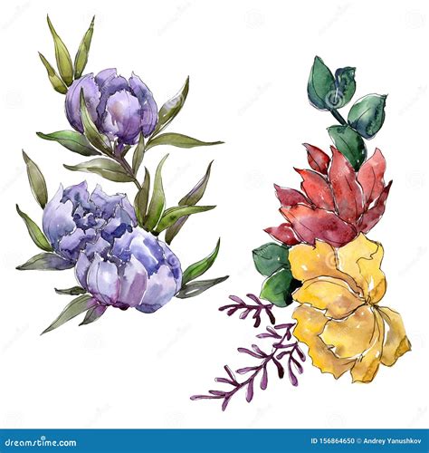 Bouquet Floral Botanical Flowers Watercolor Background Illustration Set Isolated Illustration