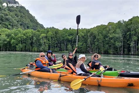 Mangrove Kayaking Tour Langkawi Book Now Pay Later Tours