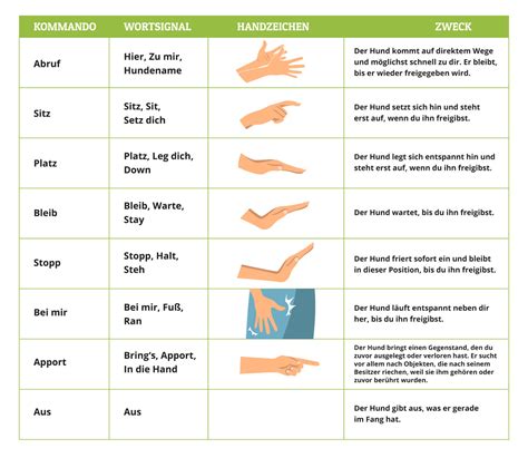 Hundekommandos Handzeichen Inkl Tabelle Und Videos