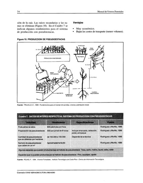 Manual De Viveros Forestales Ica Pdf