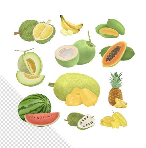 Premium Psd Set Of Tropical Fruit Hand Drawn Illustration