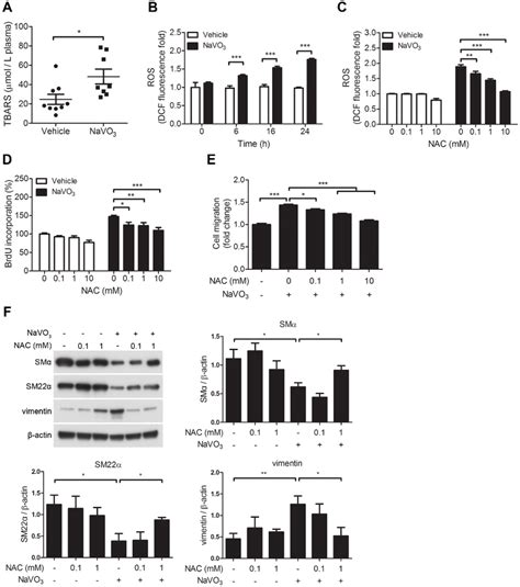 Reactive Oxygen Species Ros Mediated Il Is Essential For