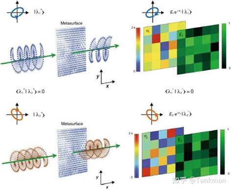 南京大学《light Science And Applications》：正交偏振态相位和振幅同时独立控制的多功能超表面 知乎