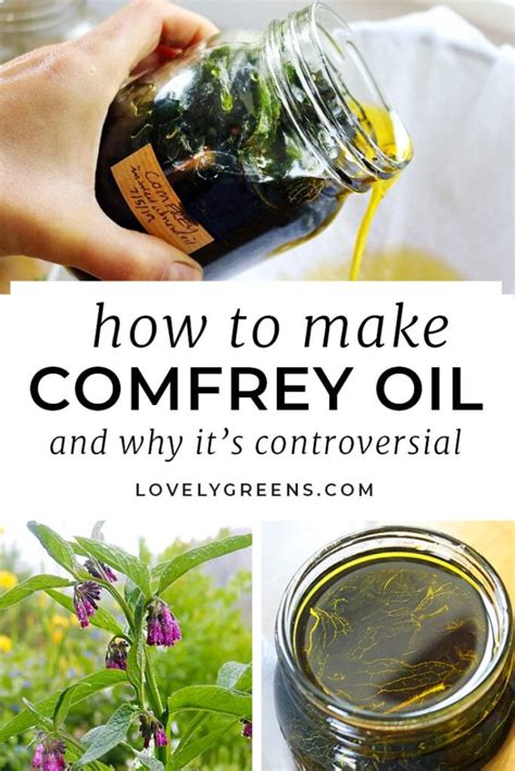 How To Use And Make Comfrey Oil And Why It S Controversial Lovely