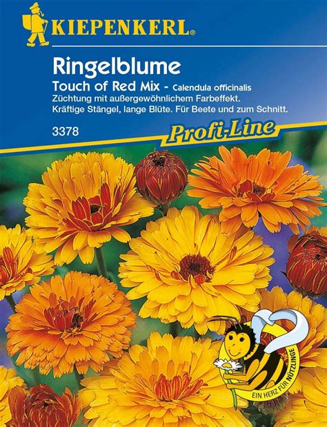 Kiepenkerl Ognjič Touch of Red Mix 1 pkt Bloomling spletna trgovina