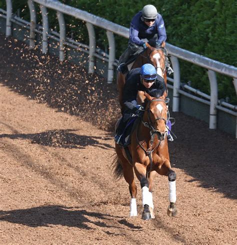 【nhkマイルc】武豊と黄金のオオバンブルマイ！全開加速で残り2f伸びた スポニチ競馬web