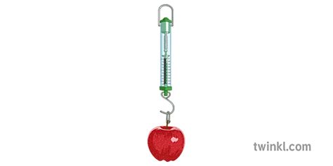 Newton Meter Apple Illustration Twinkl