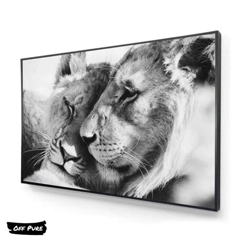 Tableau Lion Lionne Noir Et Blanc Off Pure