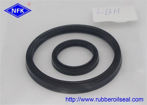 Cylinder Rod Rubber Dust Seal Dsi Lbi Lbh Vay Dh Different Type High