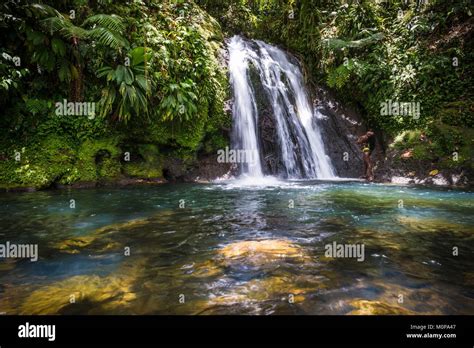 Francecaraïbes Petites Antilles La Guadeloupe Basse Terrepetit