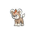 Litleo Pokédex: stats, moves, evolution & locations | Pokémon Database