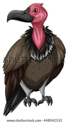 Cartoon Evil Looking Vulture Isolated On Stock Vector 119032273 ...