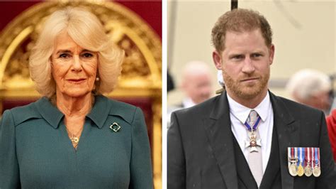 Königin Camilla Empört über Harrys Blitzbesuch nach Charles Krebs