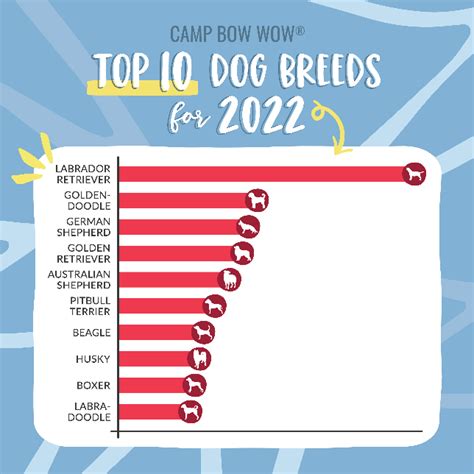 Camp Bow Wow ® Releases the Top Dog Breeds for 2022 | Houston Style ...