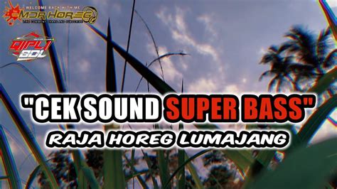 Dj Cek Sound Super Bass Raja Horeg Lumajang Youtube