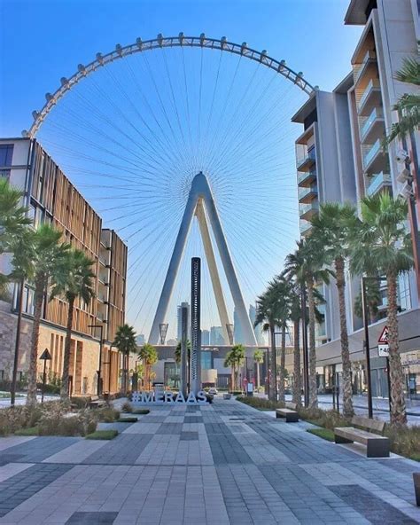 Ain Dubai Ferris Wheel Worlds Largest Ferris Wheel In Dubai